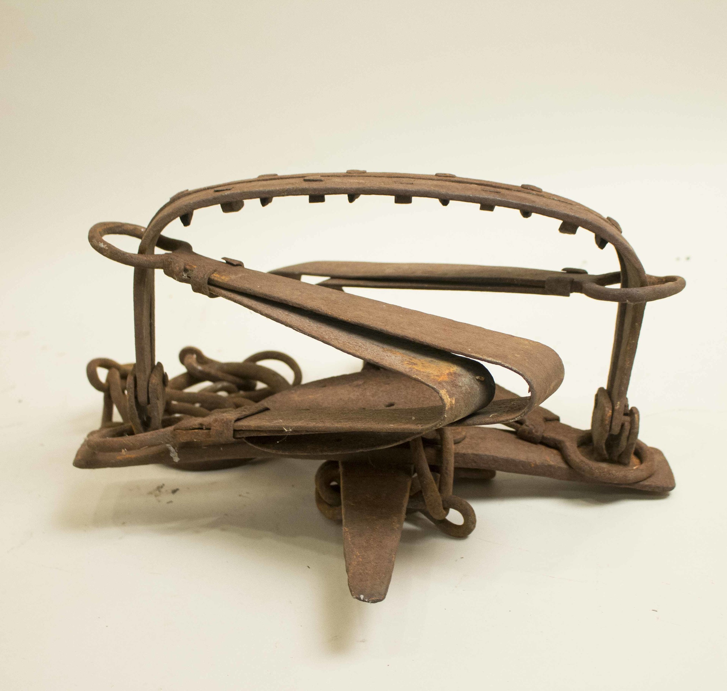 Bear/Animal Trap Witherell's Auction House